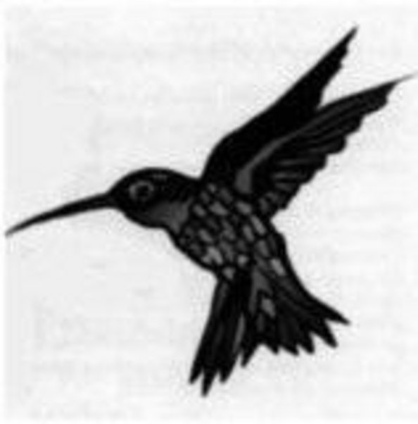 Logo Kindertagestätte Kolibri