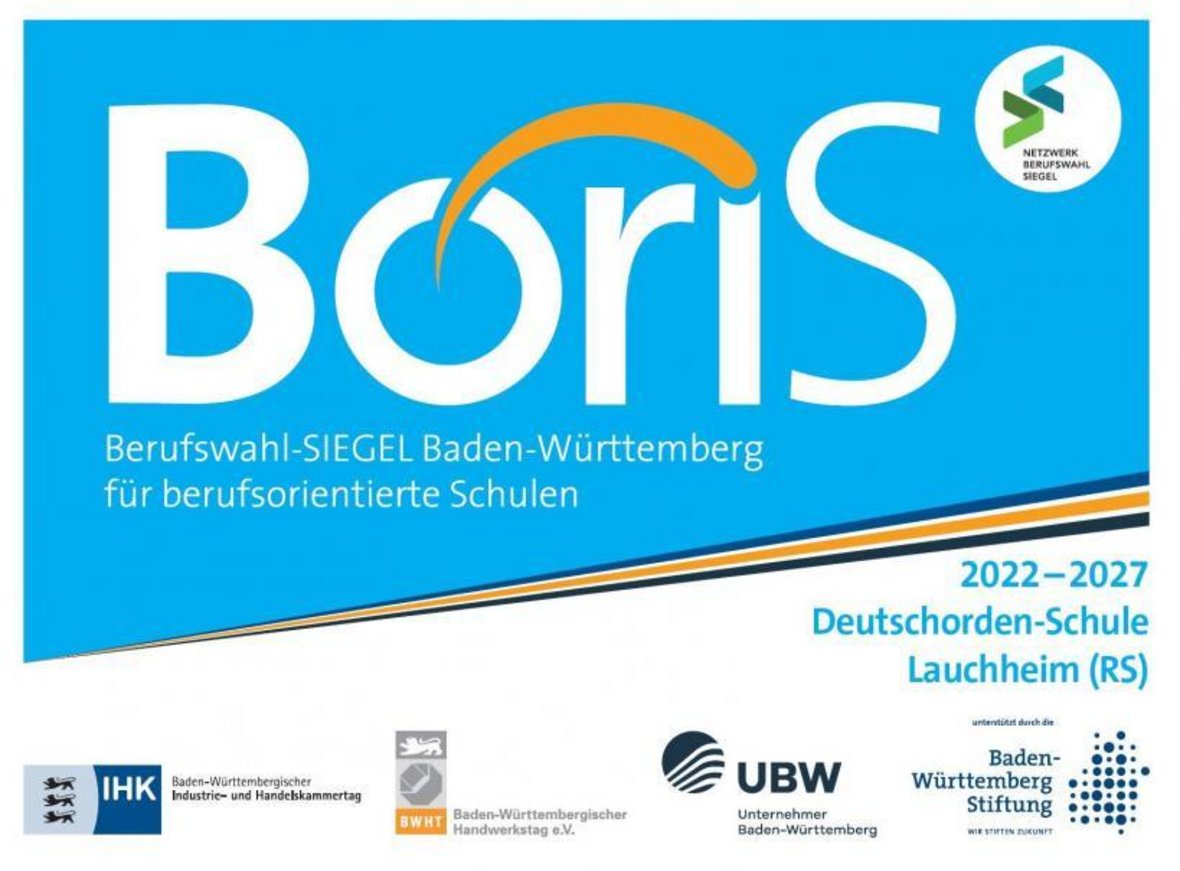 Flyer Boris