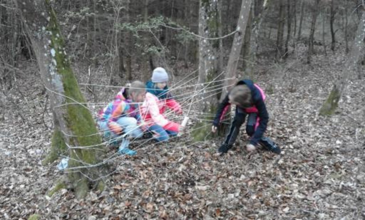 Abenteuer Natur AG